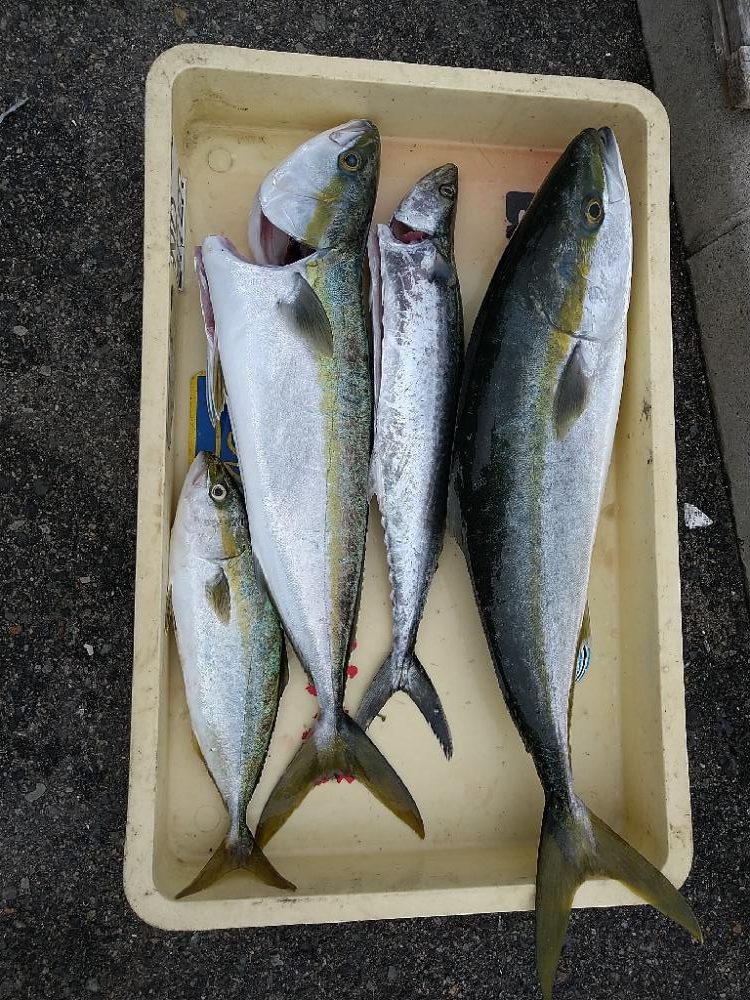 ショアジギングと呑ませ釣りで