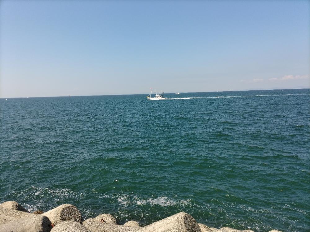 時間があったので、ちょっと青物でも