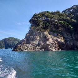 まだまだ夏の磯