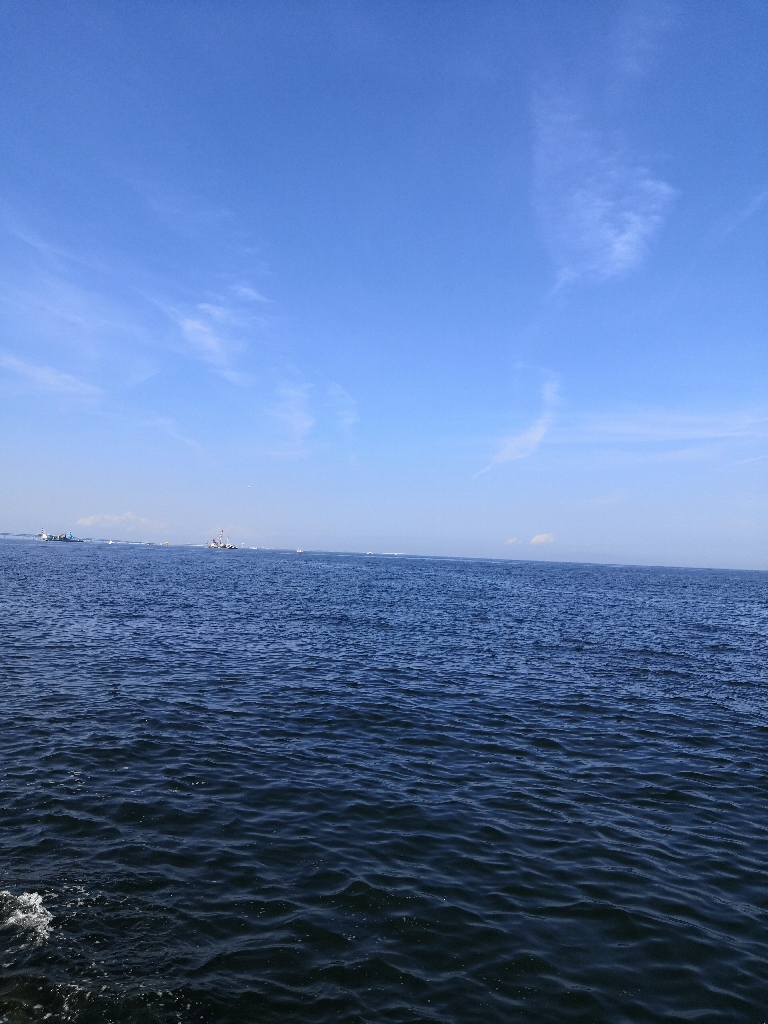 秋のショアジギング