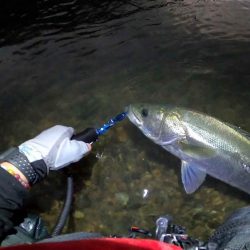 【シーバス】リバーシーバス。やっと・・・