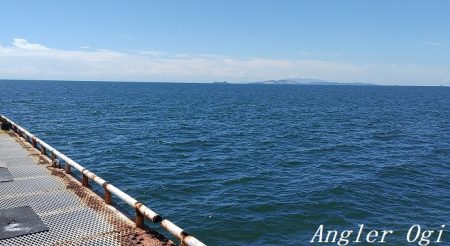 カワハギ入れ食い!午前中だけで43匹。