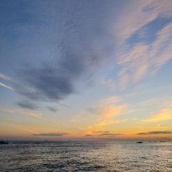 ツバス シオゲットです