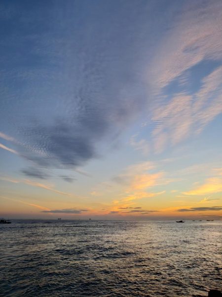 ツバス シオゲットです