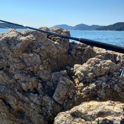 久々にメジった