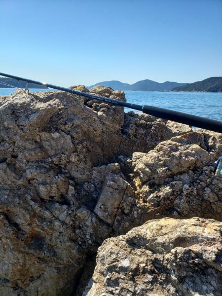 久々にメジった