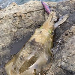 試しに3.5号投げてみた