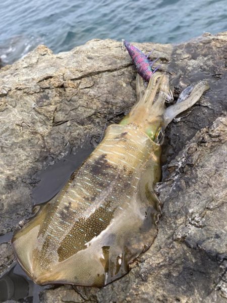 試しに3.5号投げてみた