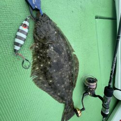 福島ヒラメジギング