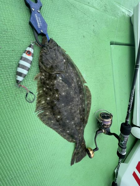 福島ヒラメジギング