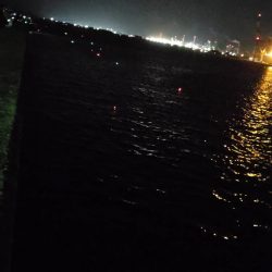 アジがいなくライトゲームは苦戦