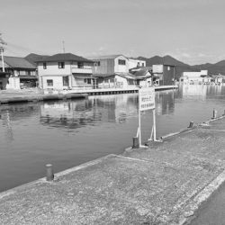 西舞鶴 9/9 夜イカ