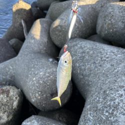 当たるって楽しい！