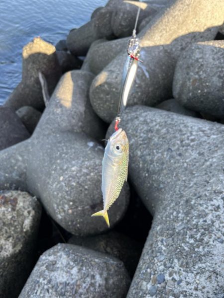 当たるって楽しい！