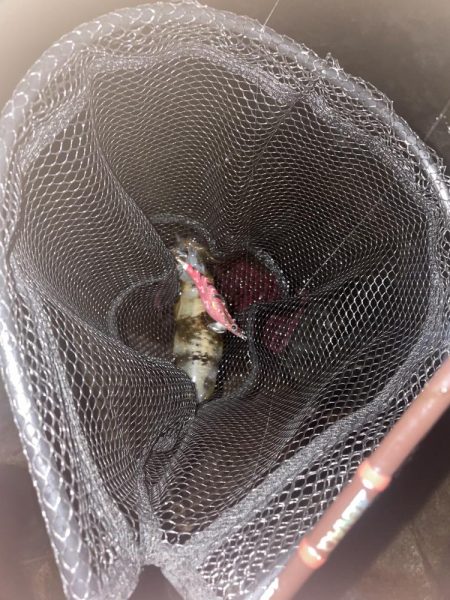 風裏あるかな!?