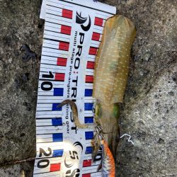 楽しませてもらいました