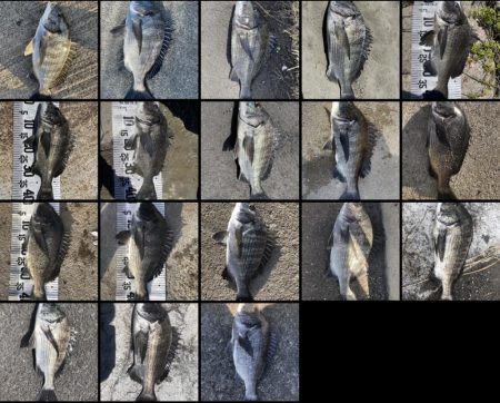 イチノ兄弟、釣果！