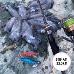 エギング朝まづめ