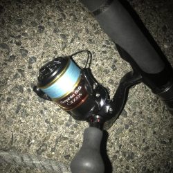 ライトワインドでガシラGET