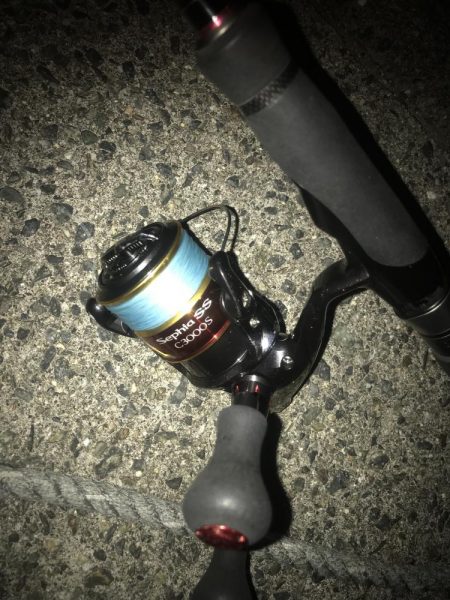 ライトワインドでガシラGET