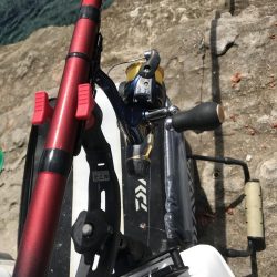 カゴ釣りでグレGET