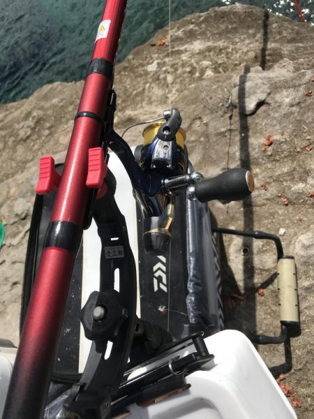 カゴ釣りでグレGET