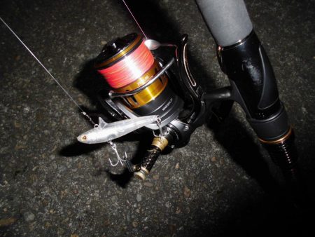 やはり見えている魚は釣れない…