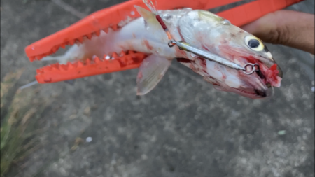 ウルトラライトジギング