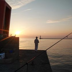 昼から釣行しました