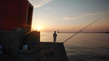 昼から釣行しました