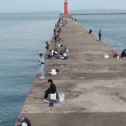 日ムラが激しい播磨新島のキス