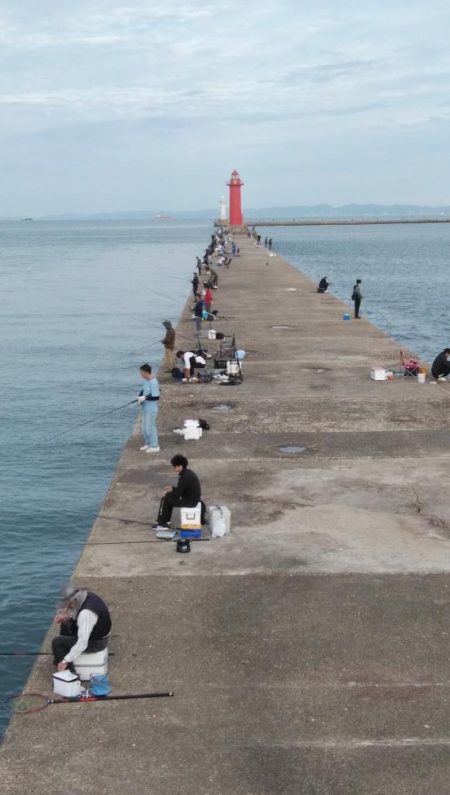 日ムラが激しい播磨新島のキス