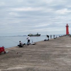 シーズン39回目の播磨新島釣行