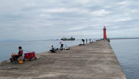 シーズン39回目の播磨新島釣行