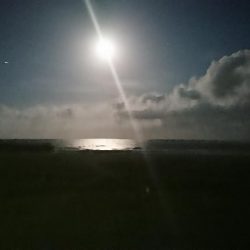 月の明かりが強すぎて