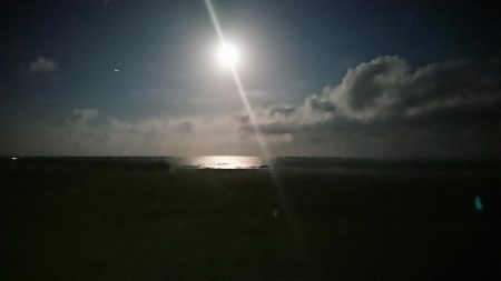 月の明かりが強すぎて