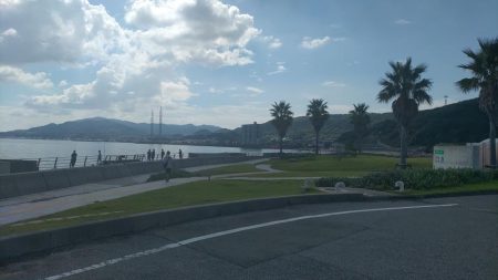 のませでハマチ4本 チヌ1枚