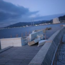 のませでメジロ、シオ