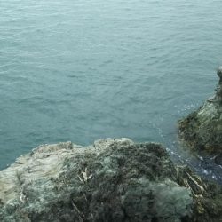 秋の青物狙いpart 1