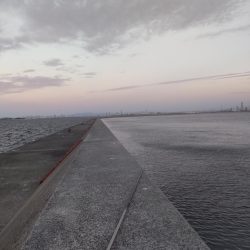 飲ませで、ブリ