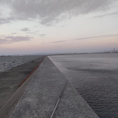 飲ませで、ブリ