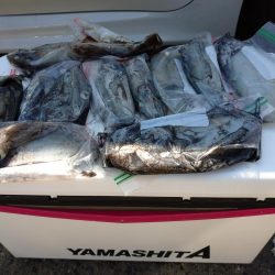 手漕ぎボートエギング