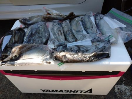 手漕ぎボートエギング