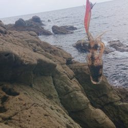 トップでツバス