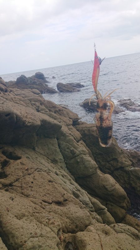 トップでツバス