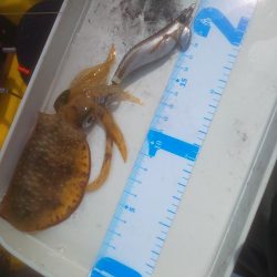 溜まり場見つけられず