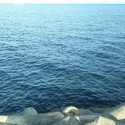 青物祭りへ参加