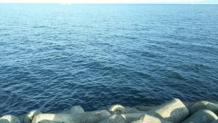 青物祭りへ参加