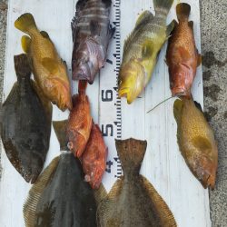 ジギングシーズン突入