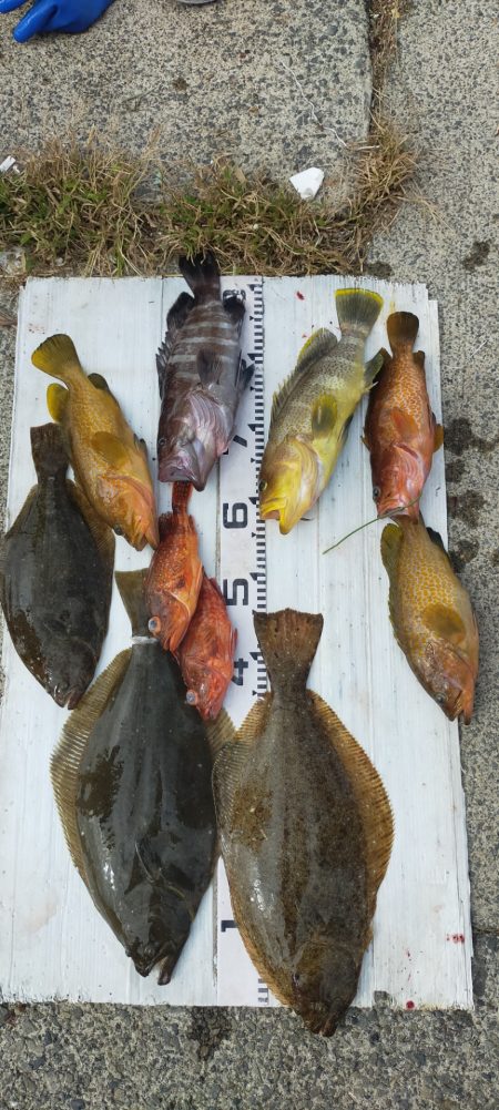 ジギングシーズン突入